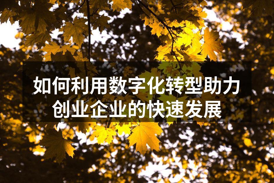 如何利用数字化转型助力创业企业的快速发展